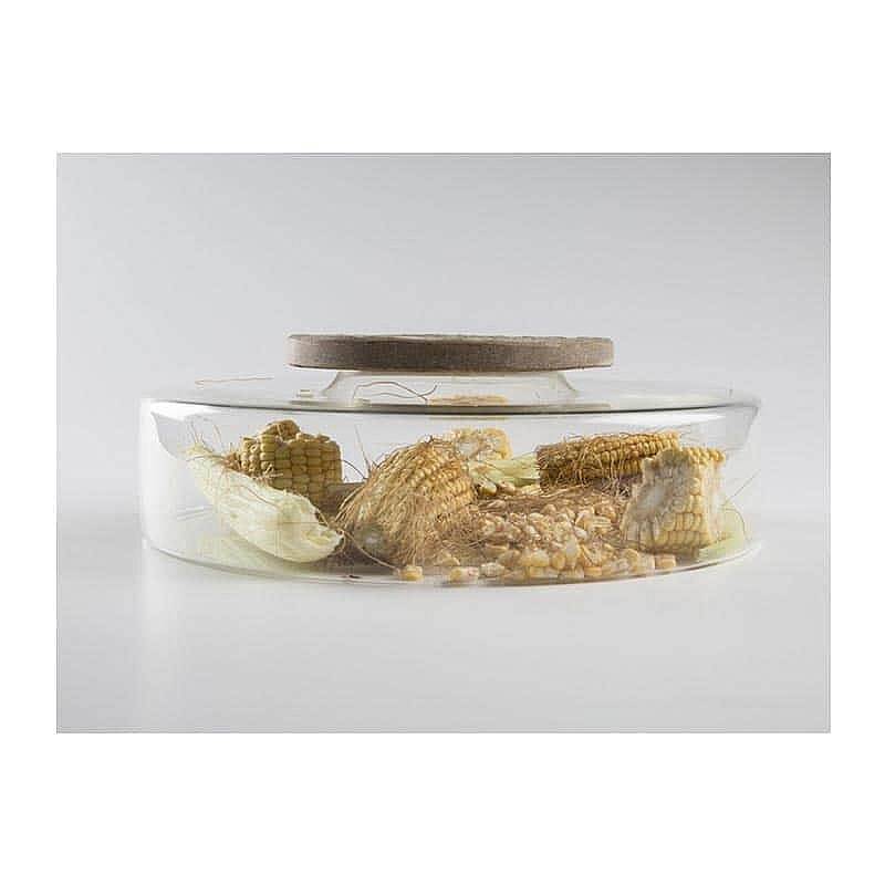 100% Chef Advance Scenario Cam Tabak, Gastronomi Sunum, 28x8,5 cm - 3