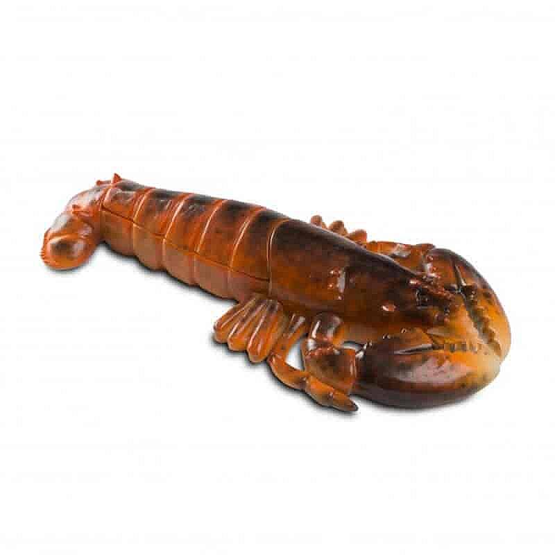 100% Chef Istakoz Kapaklı Sunum Tabağı, 35x20 cm - 2