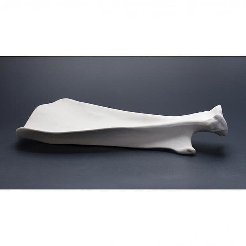 100% Chef Shoulder Blade Porselen Sunum Tabağı, El Yapımı, 33x20x6 cm - %100 Chef (1)