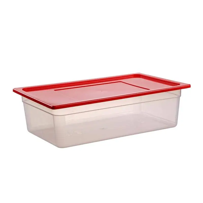 Bora Plastik GN 1/1-150 mm Polipropilen Gastronorm Küvet, Şeffaf - 2