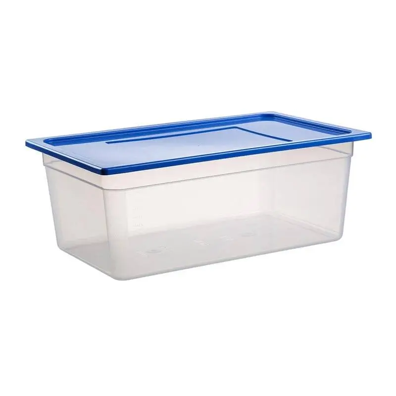 Bora Plastik GN 1/1-200 mm Polipropilen Gastronorm Küvet, Şeffaf - 2