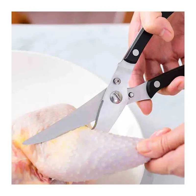 Epinox TM-01 Tavuk Makası, Hijyenik Yüzey - Epinox (1)