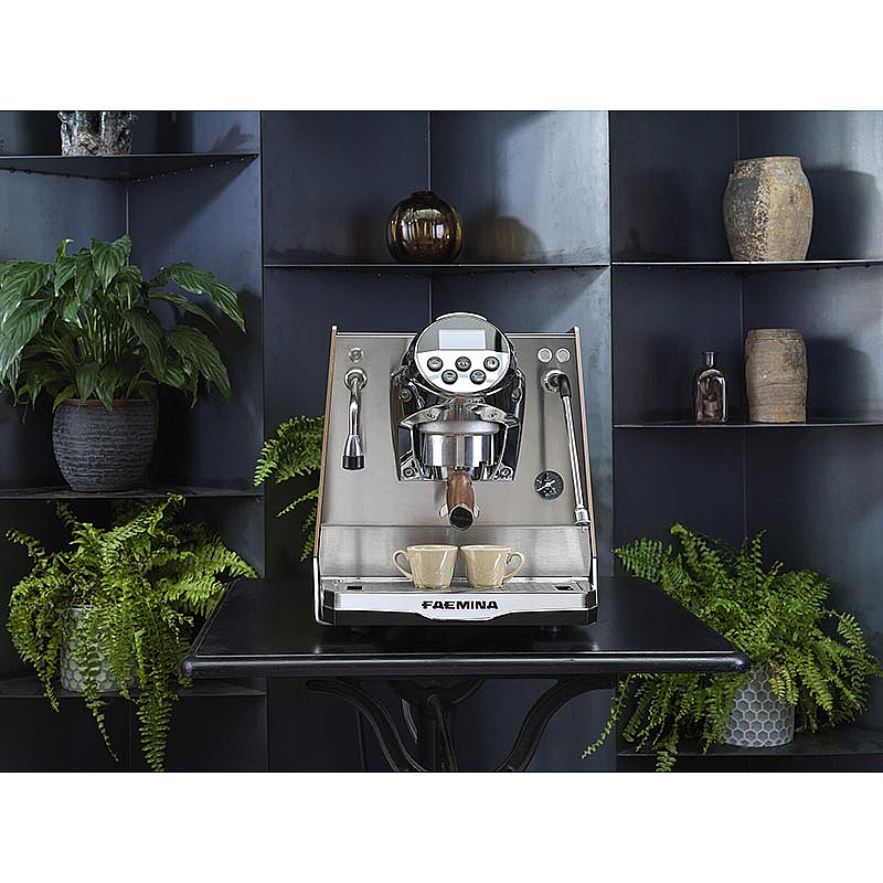 Faema Faemina A/1 GTI Tam Otomatik Espresso Kahve Makinesi, 1 Gruplu, 377.3 x 517.2 x 413.4 mm. - 6