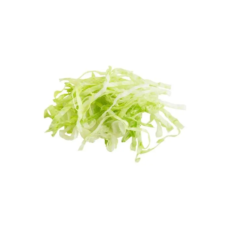 Robot Coupe İnce Dilimleyici Disk, 6 mm - 2