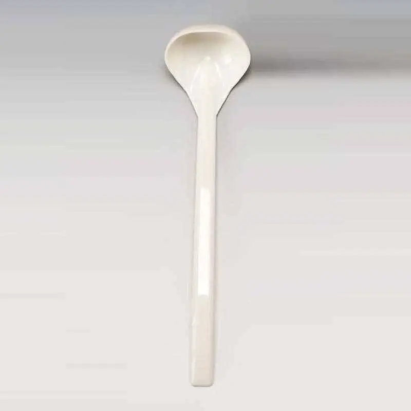 Zicco PDF-350 Çift Taraflı Sos Kepçesi, Polikarbon, Beyaz, 25 cm - 1
