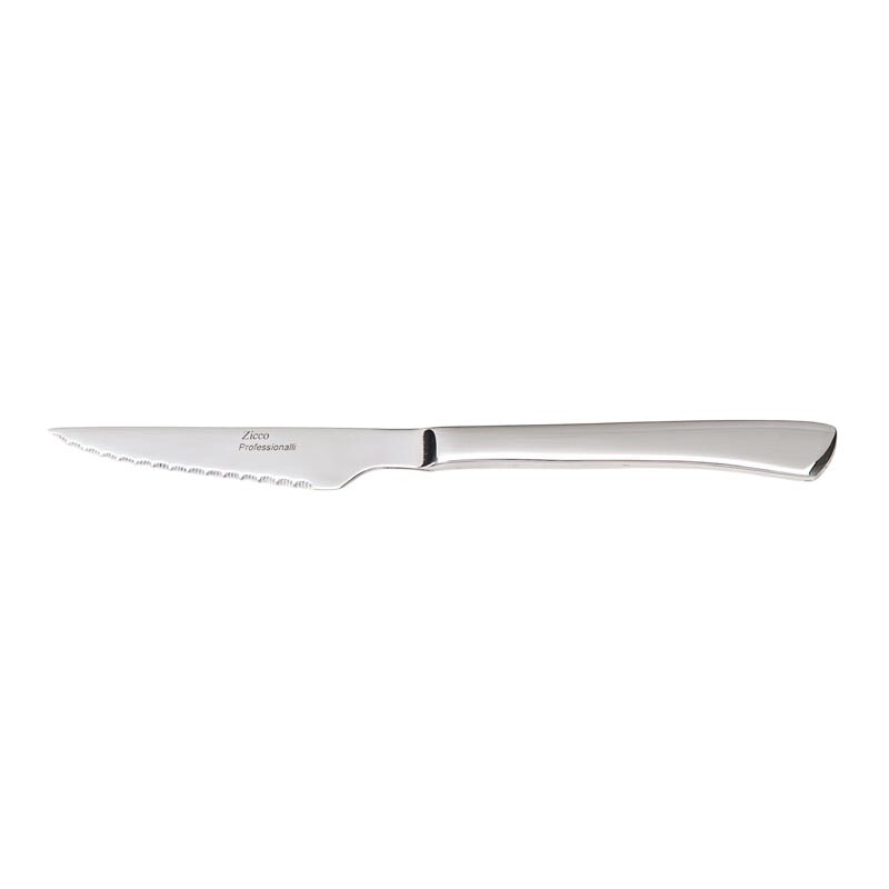 Zicco ZB-01 Çelik Saplı Steak Bıçağı, Profesyonel, 22 cm - Zicco