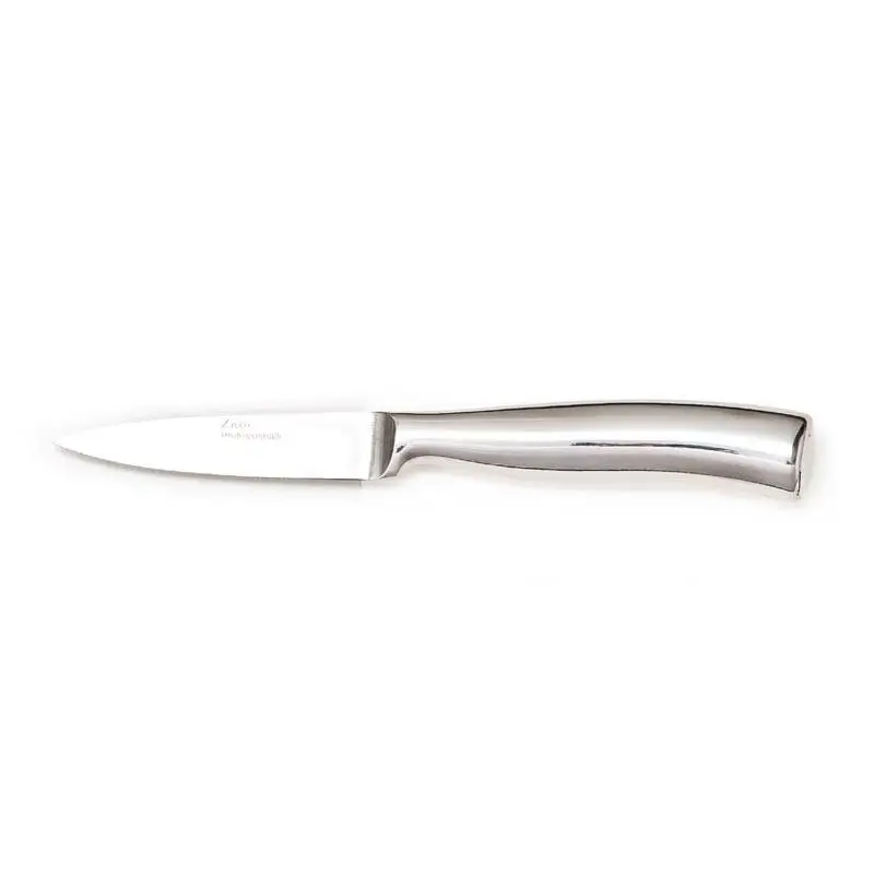 Zicco ZB-19 Sivri Soyma Bıçağı, Çelik Saplı, Gümüş Renk, 19 cm - 1