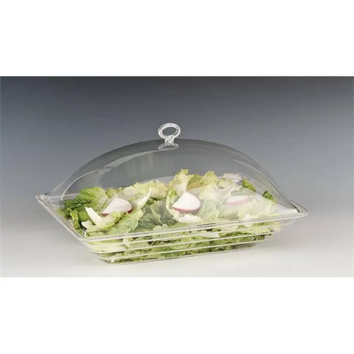 Zicco ZCP-450 Kapaklı Muhafaza Kabı, Polikarbon, Şeffaf, 43.5x28.5 cm - 1